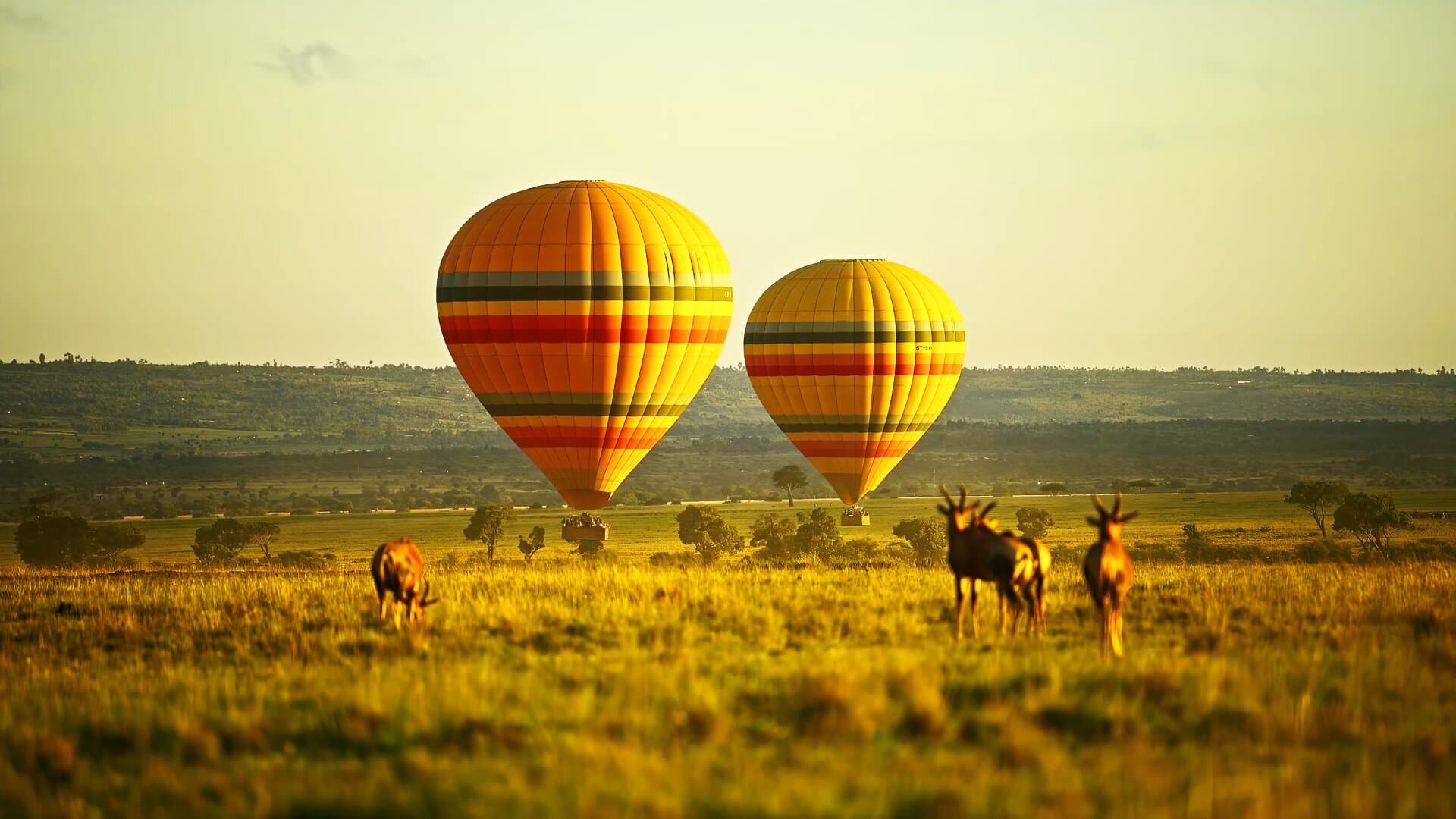 Experience the Ultimate Luxury Safari
