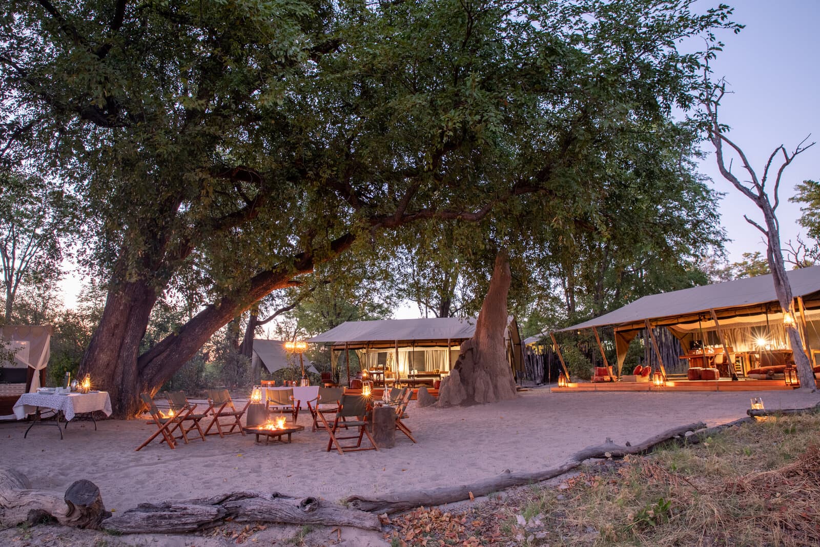 Selinda Explorers Camp gallery image 5