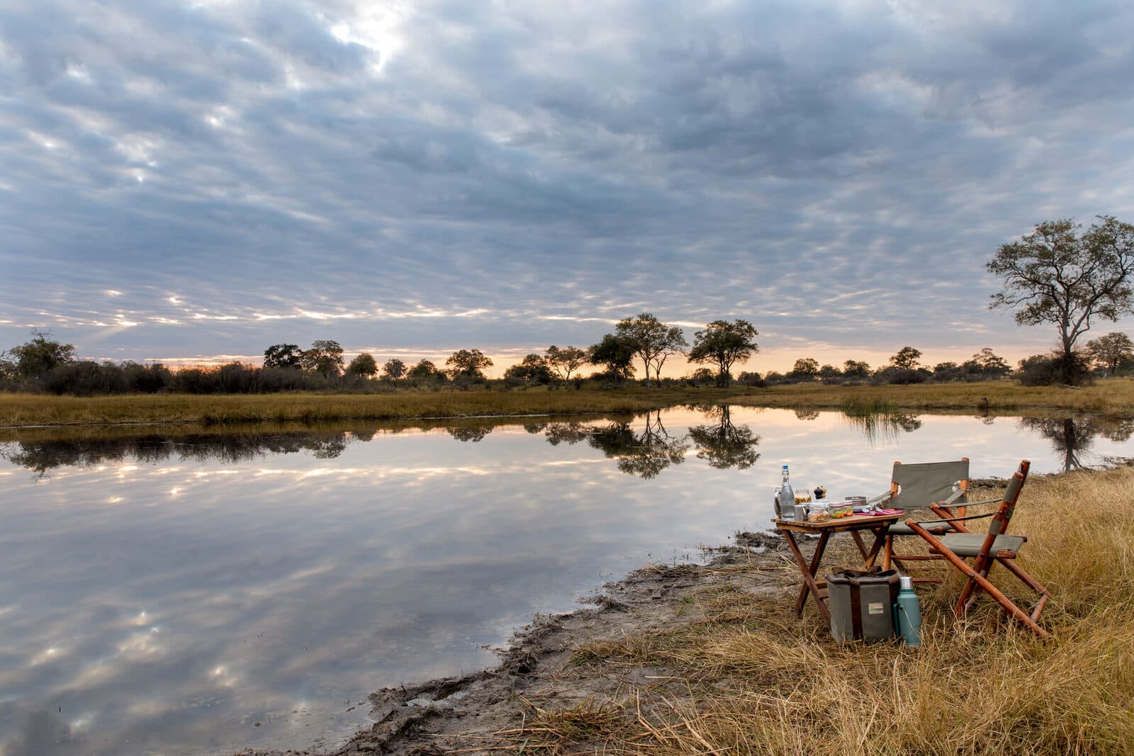 Selinda Explorers Camp gallery image 11