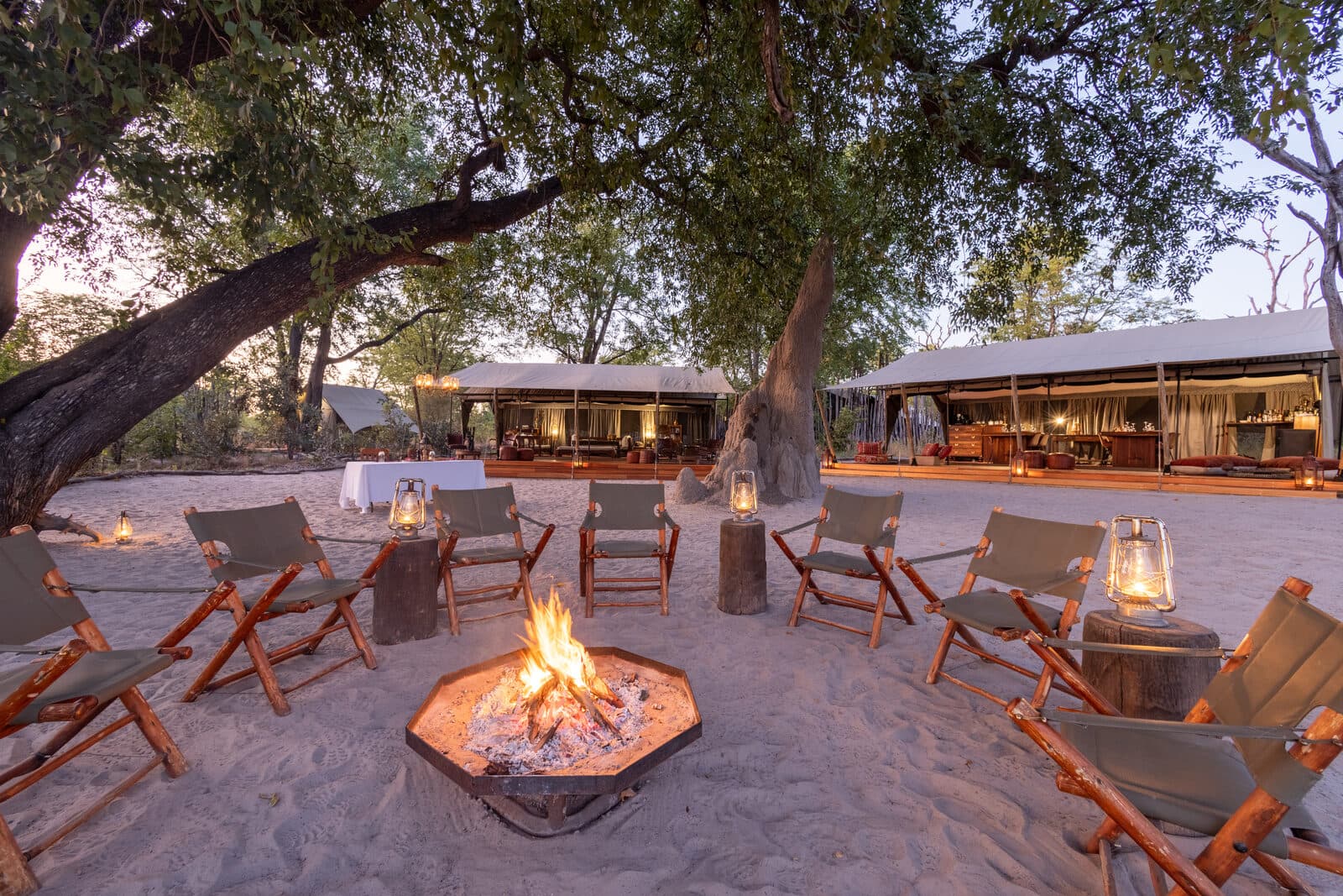 Selinda Explorers Camp gallery image 14