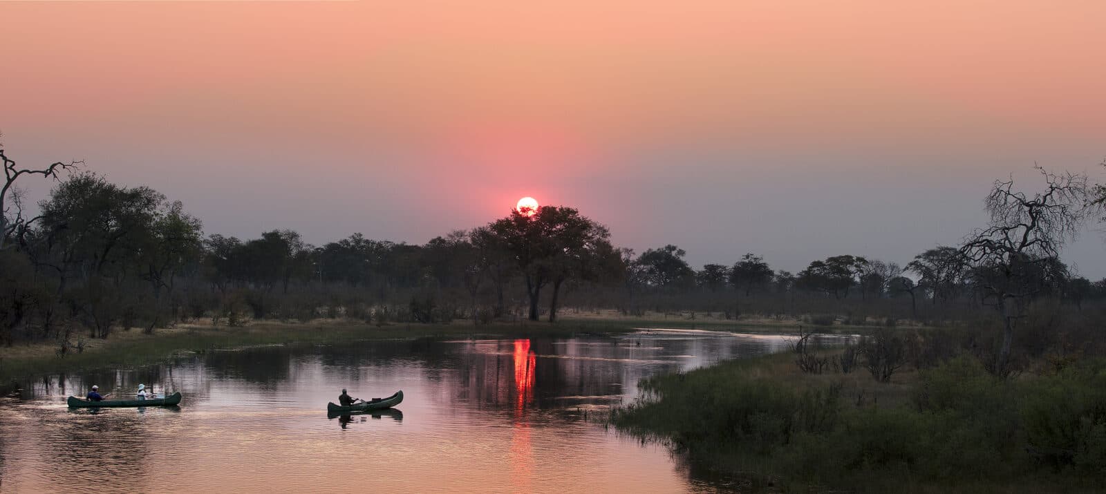 Selinda Explorers Camp gallery image 15