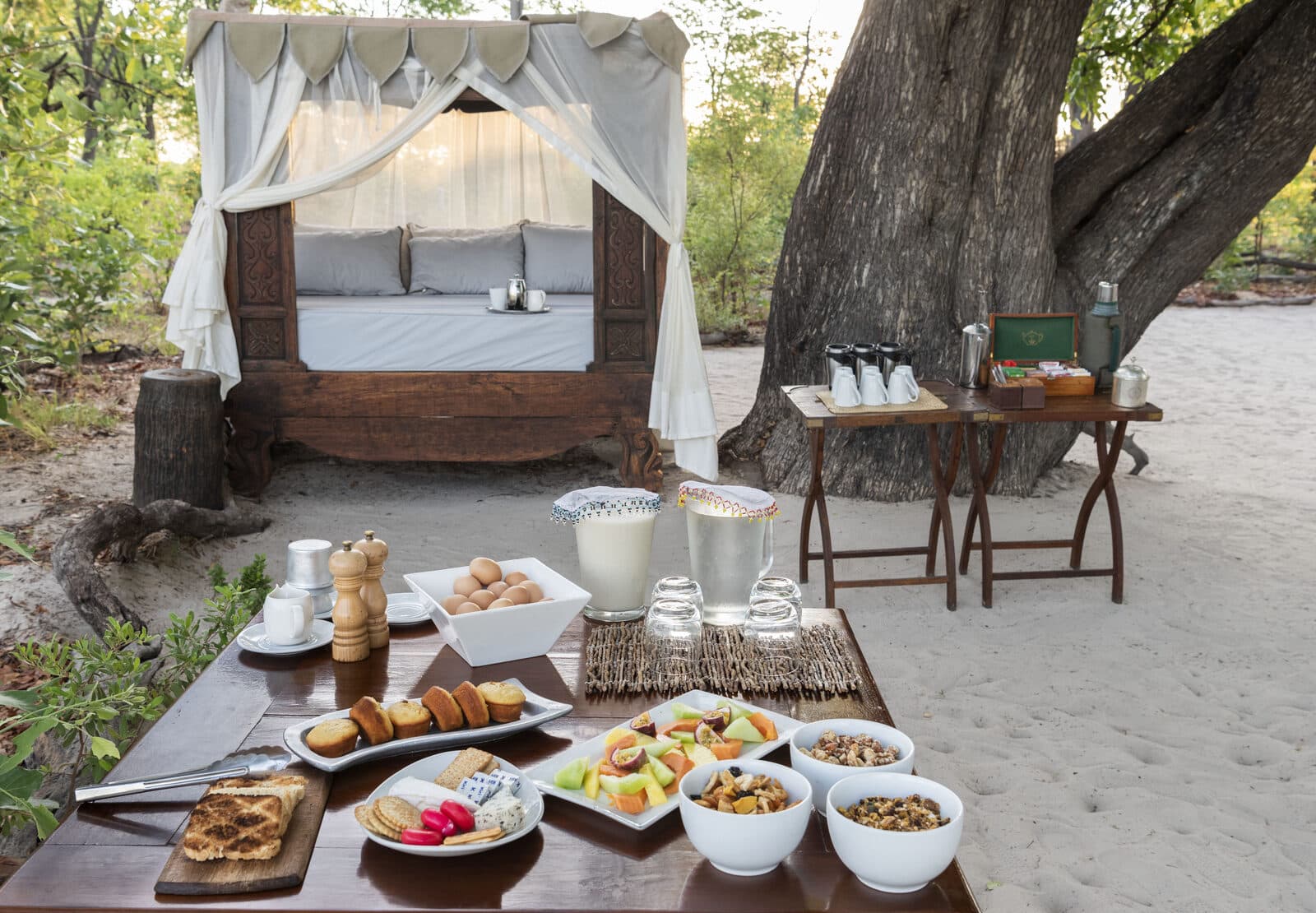 Selinda Explorers Camp gallery image 19