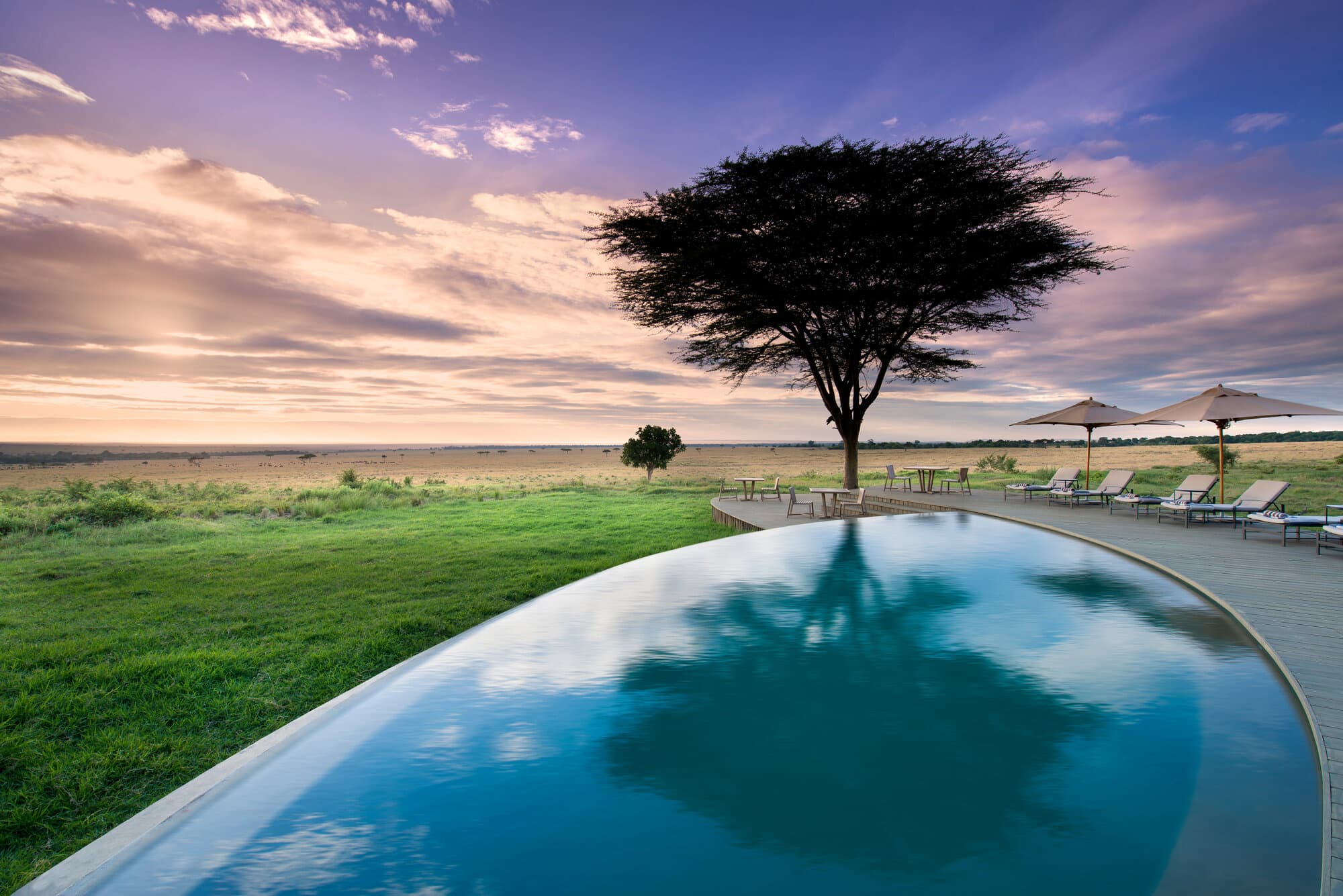 Bateleur Camp gallery image 13