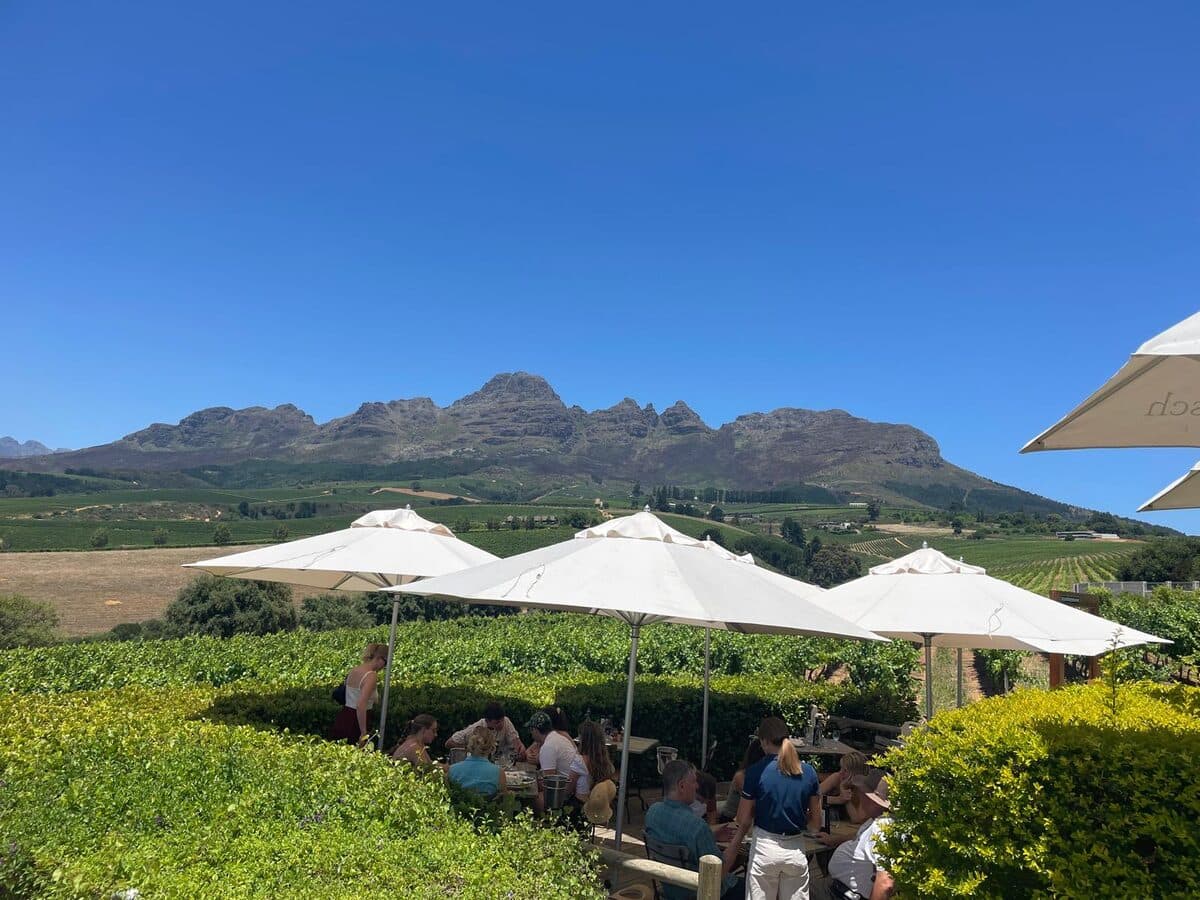 Cape Winelands tasting experience